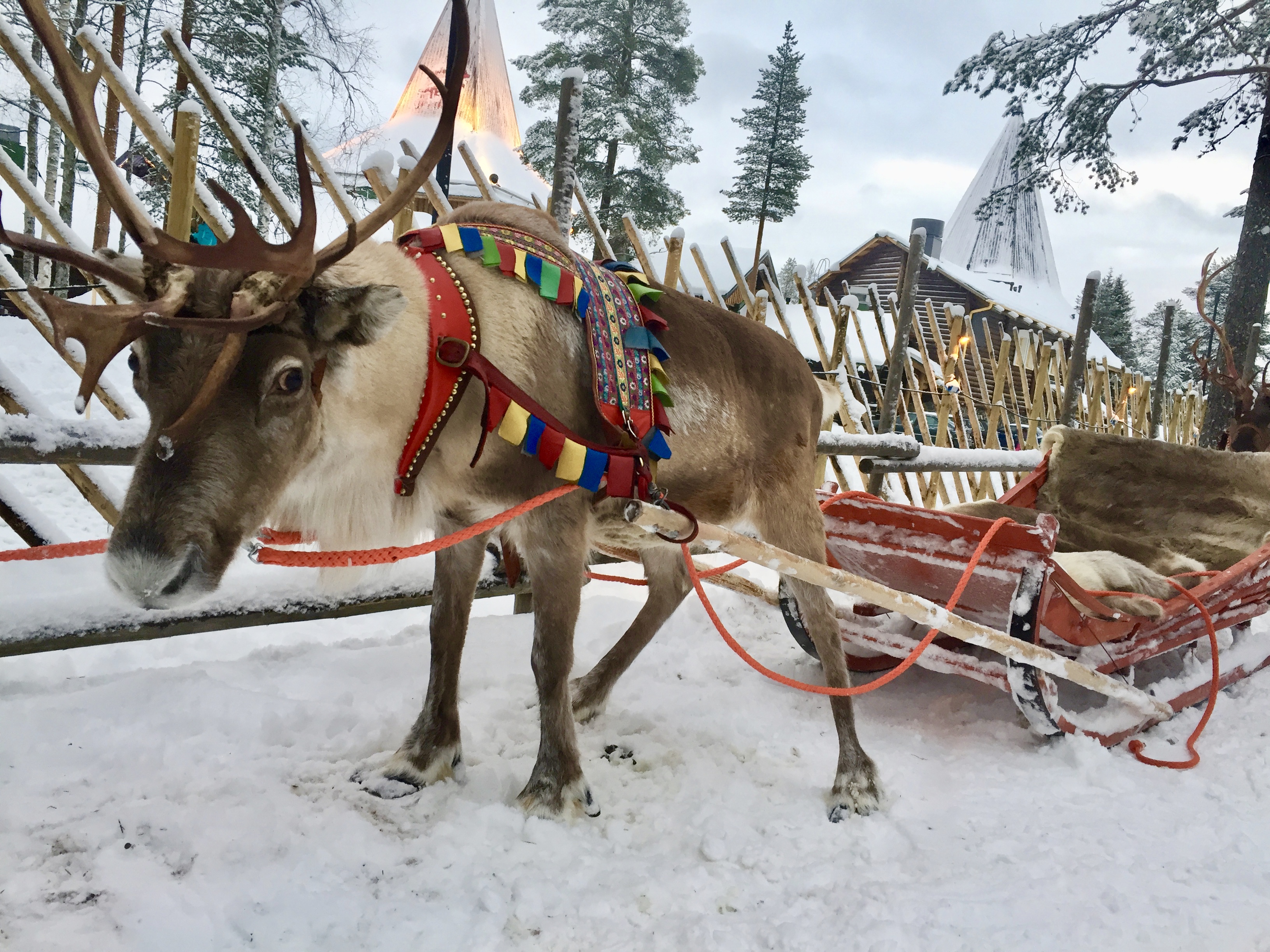 Crossing the Arctic Circle into Finnish Lapland